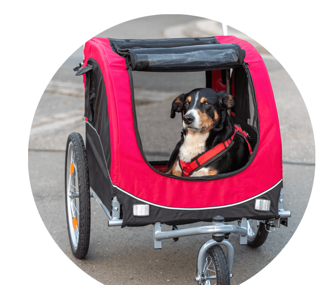 bubble fahrradanhaenger fuer hunde 680x579 bubble fahrradanhaenger fuer hunde 680x579